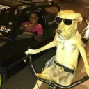 dasdasdads