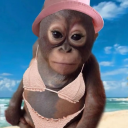 Eloise