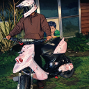 dreimalneunundsechzig