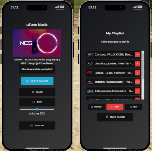 More information about "Custom LB-Phone Music App"