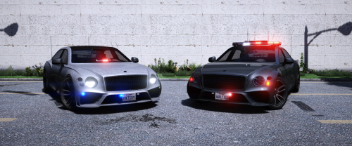 More information about "[NON-ELS] Lore Friendly VICPOL Spec Enus Deity"